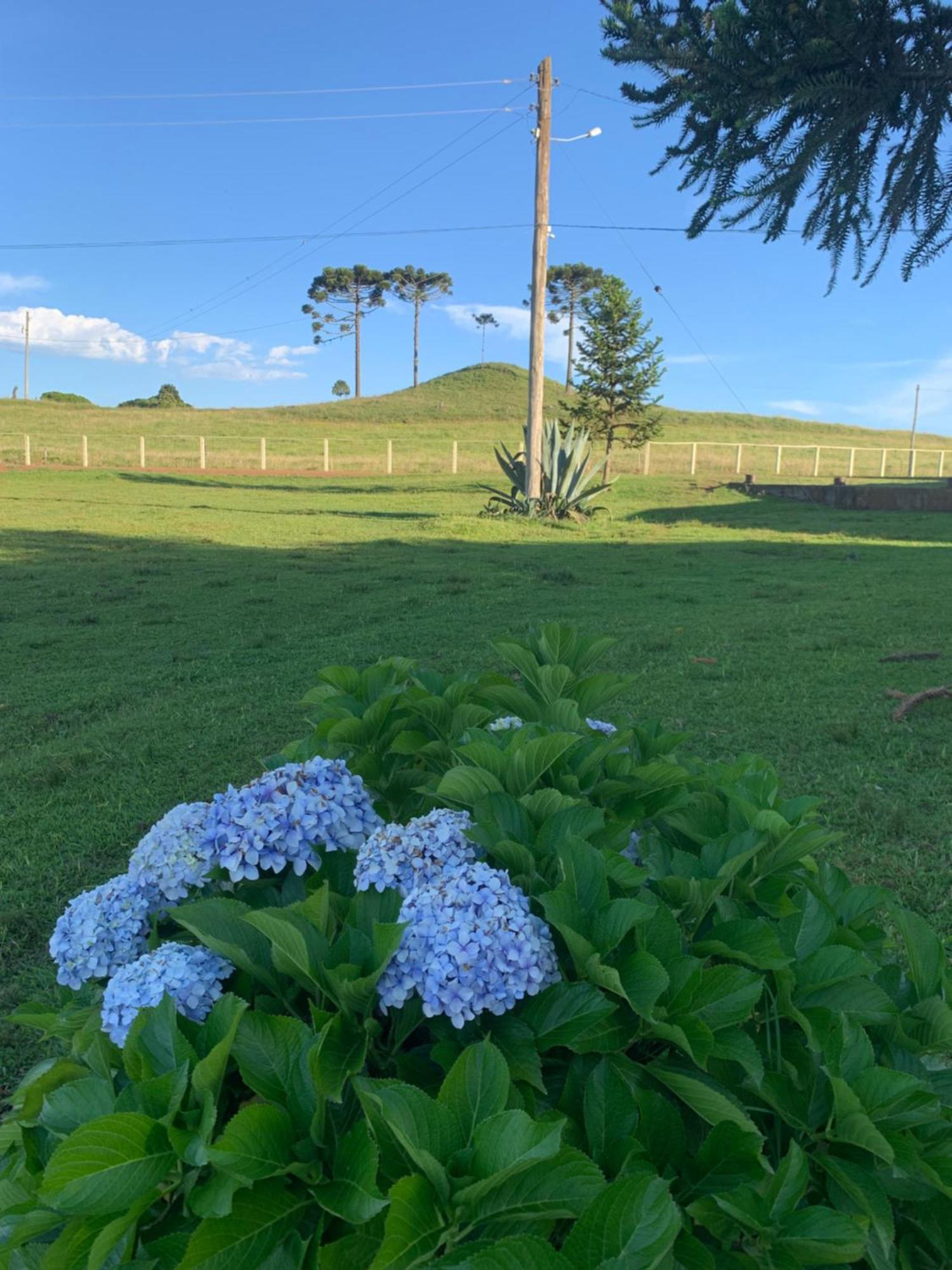Pousada Fazenda Paim Sao Jose dos Ausentes Bagian luar foto