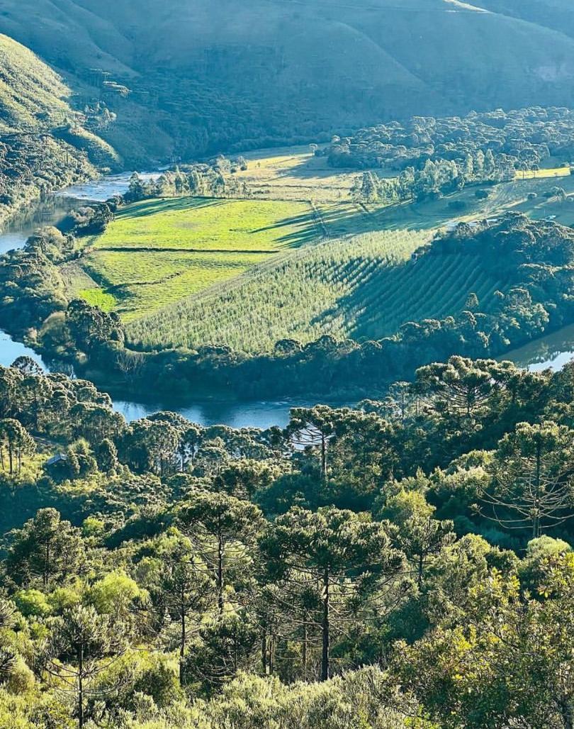 Pousada Fazenda Paim Sao Jose dos Ausentes Bagian luar foto
