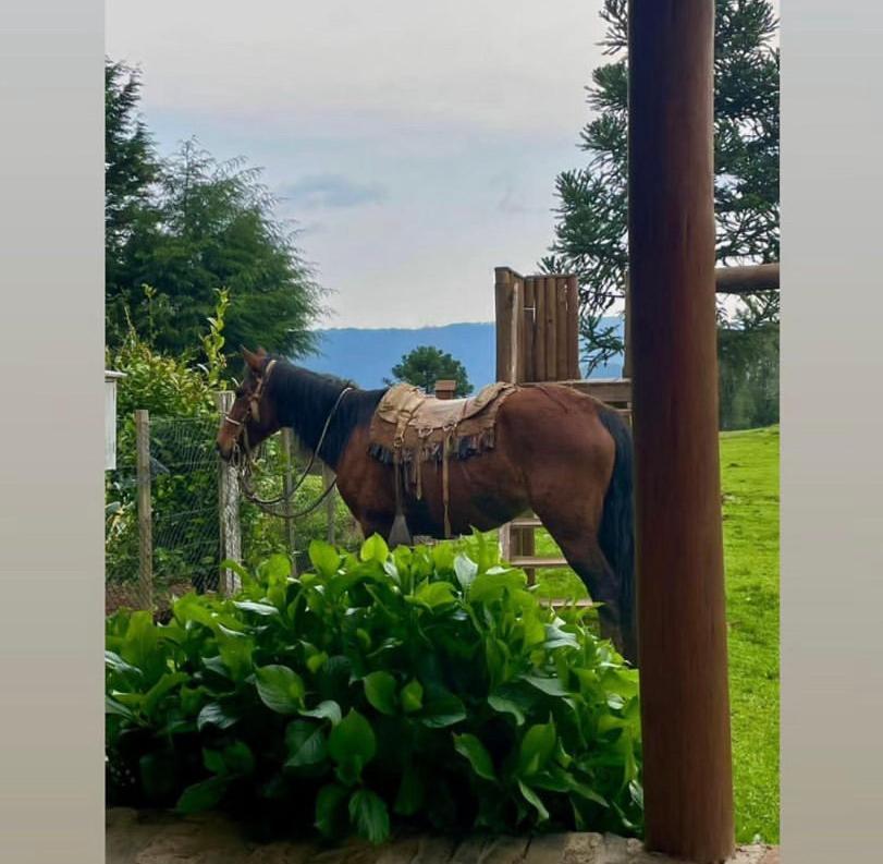 Pousada Fazenda Paim Sao Jose dos Ausentes Bagian luar foto