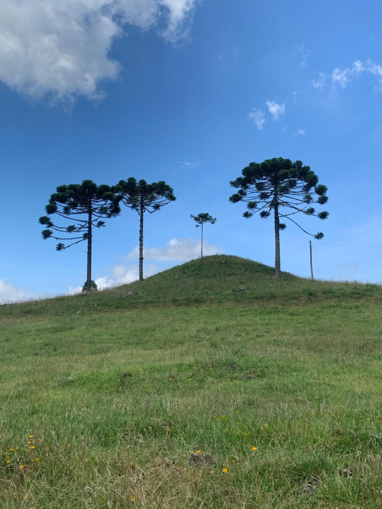 Pousada Fazenda Paim Sao Jose dos Ausentes Bagian luar foto